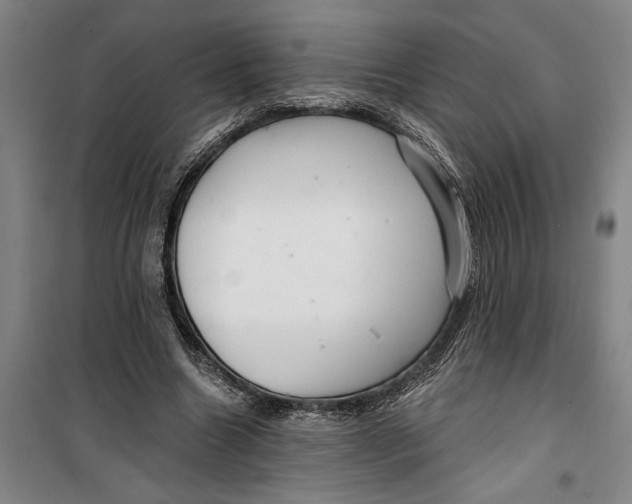 X0000099420538200805301409