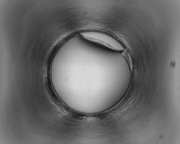 X0000099420539200805301409