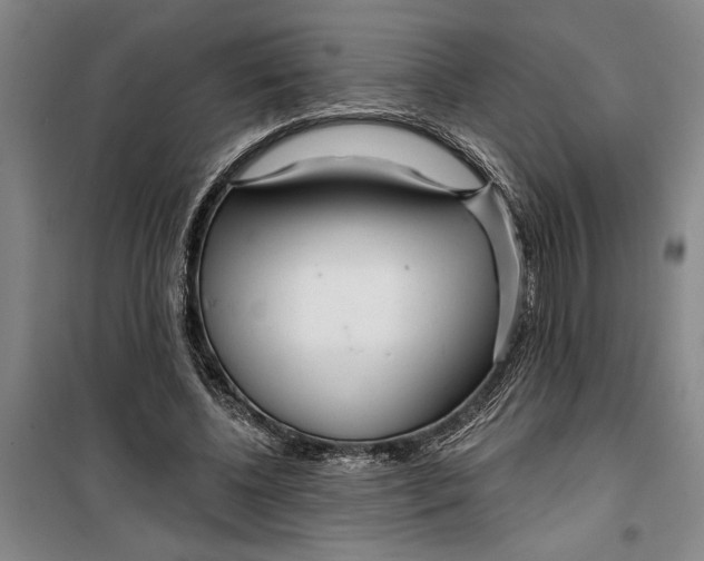 X0000099420540200805301409