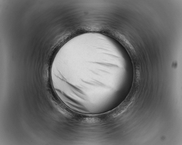 X0000099420541200805301409