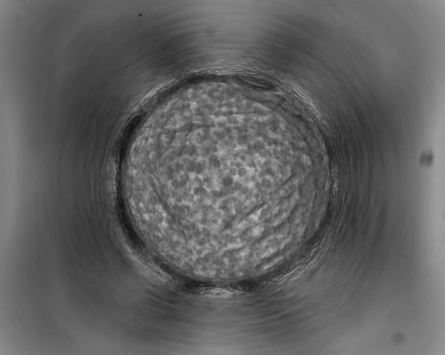 X0000099420542200805301409