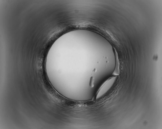 X0000099420543200805301409