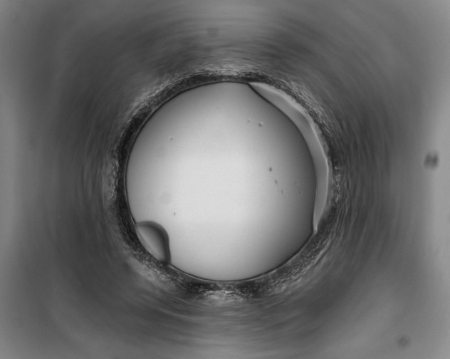 X0000099420544200805301409