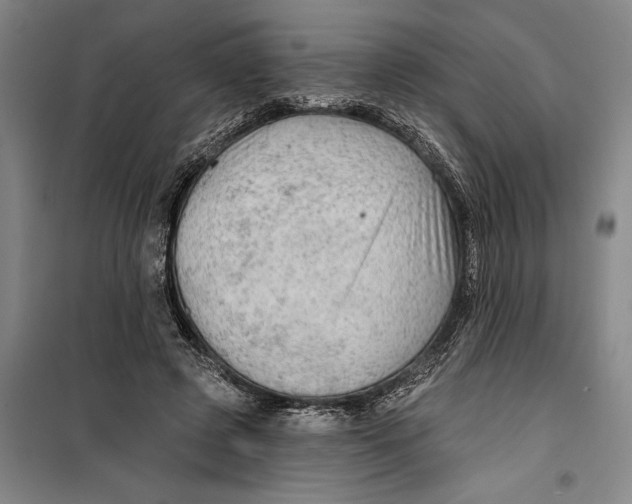 X0000099420545200805301409