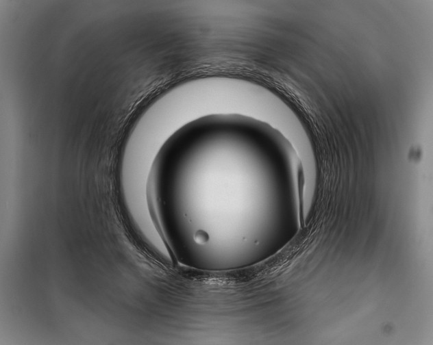 X0000099420546200805301409