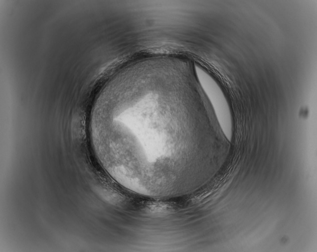 X0000099420547200805301409