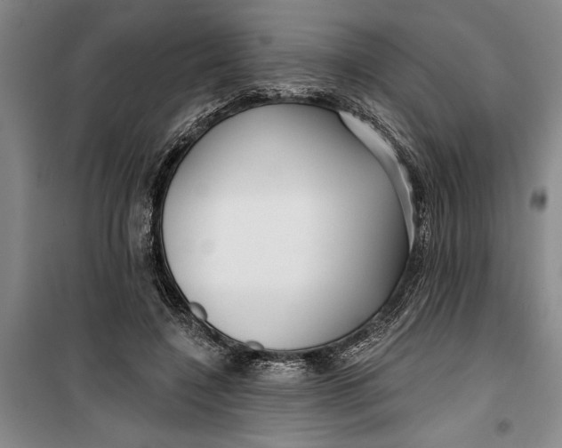 X0000099420548200805301409