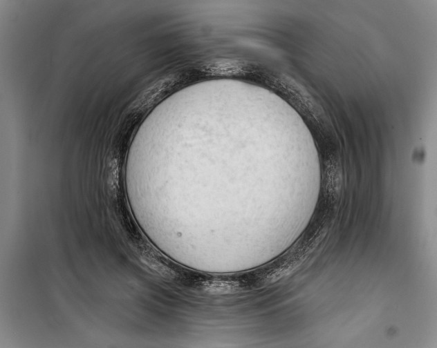 X0000099420549200805301409