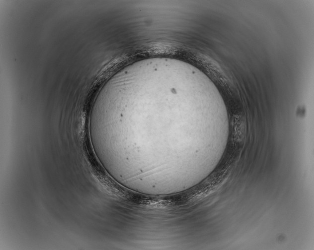 X0000099420550200805301409