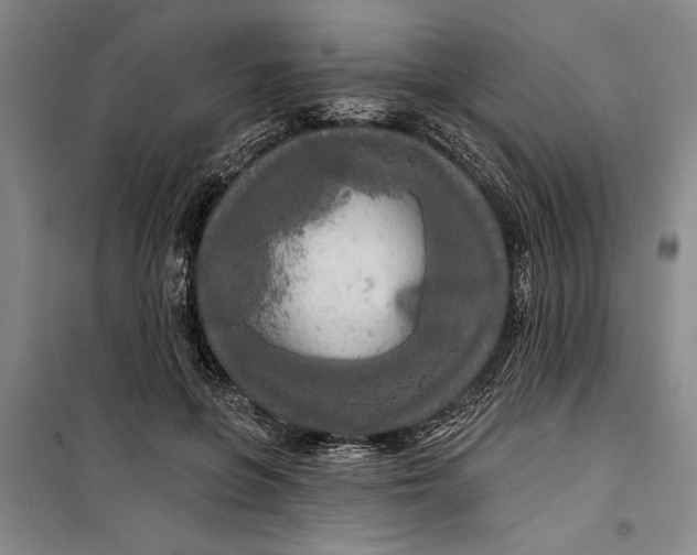 X0000099420551200805301409