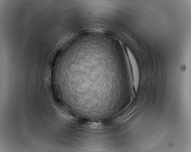 X0000099420552200805301409