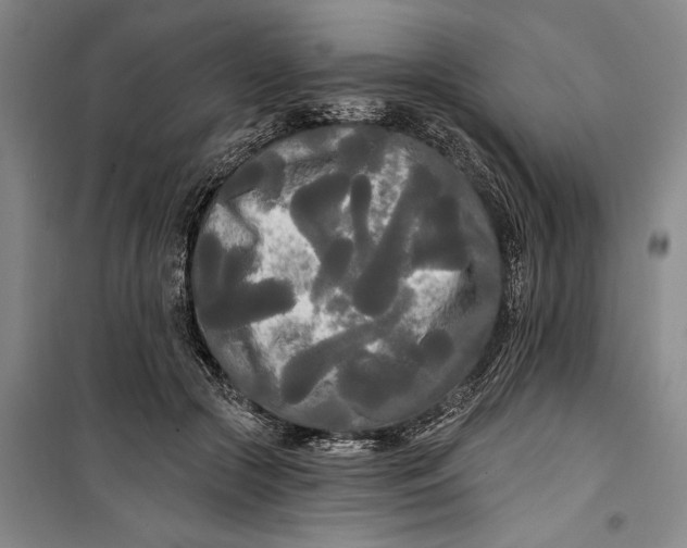 X0000099420553200805301409