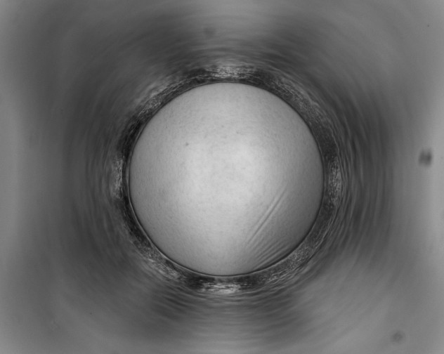 X0000099420554200805301409