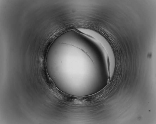 X0000099420556200805301409