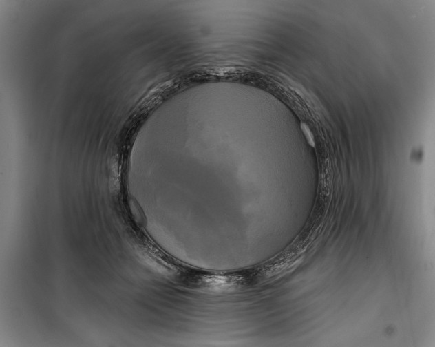 X0000099420558200805301410