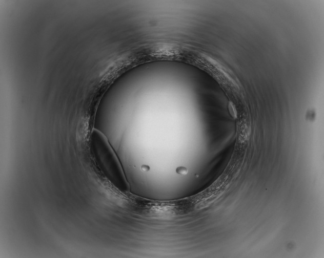 X0000099420560200805301410