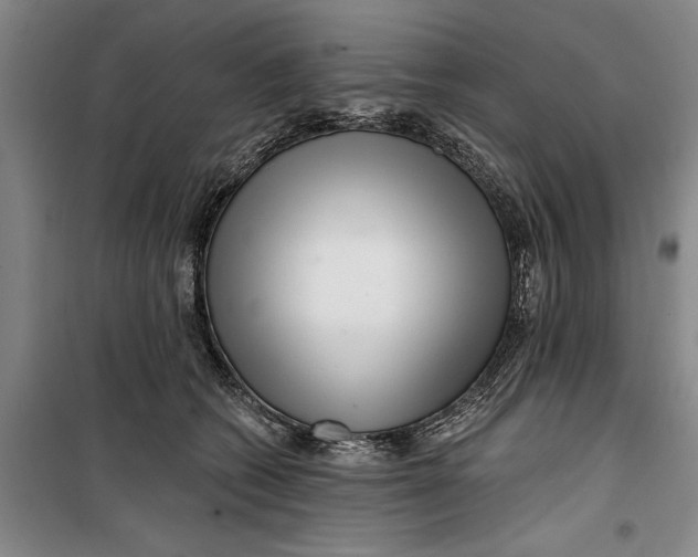 X0000099420562200805301410