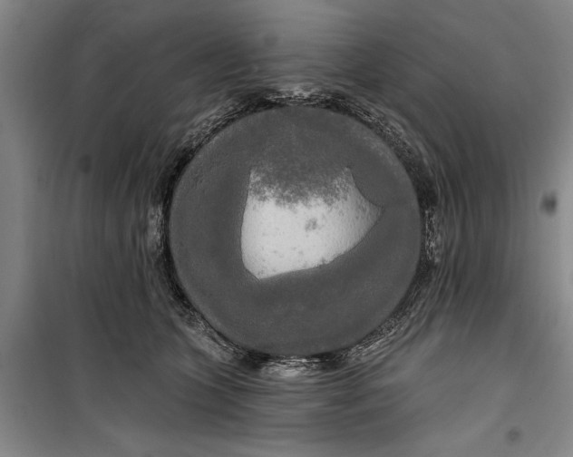 X0000099420563200805301410