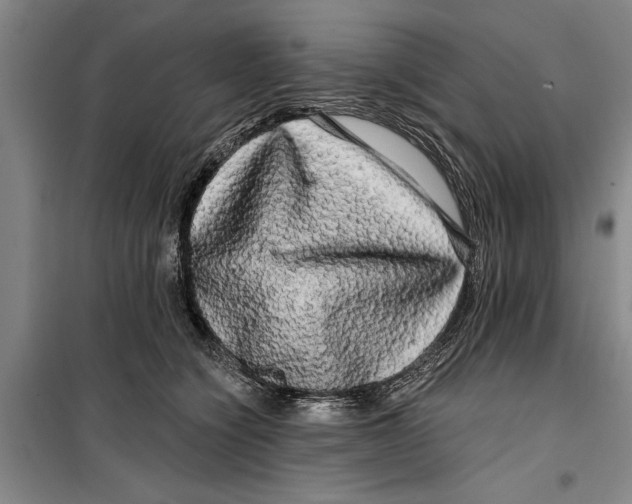 X0000099420564200805301410