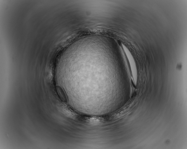 X0000099420566200805301410