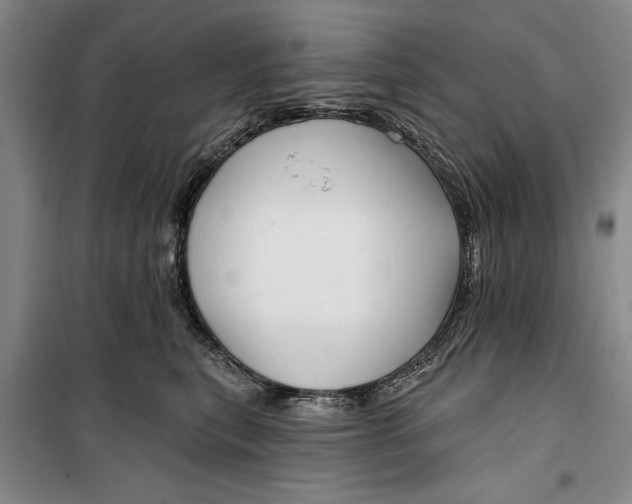 X0000099420567200805301410