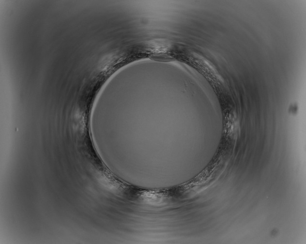 X0000099420568200805301410