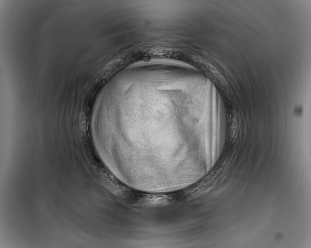 X0000099420569200805301410