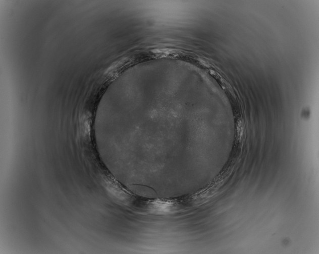 X0000099420570200805301410