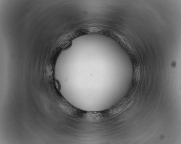 X0000099420571200805301410