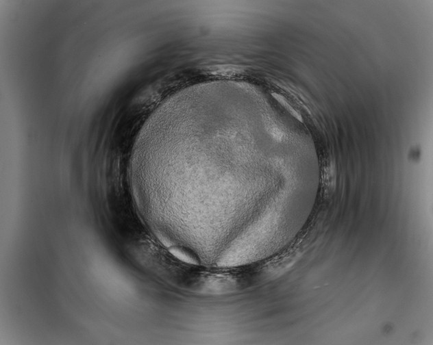 X0000099420572200805301410