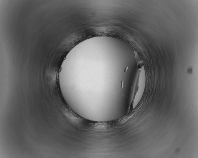 X0000099420574200805301410