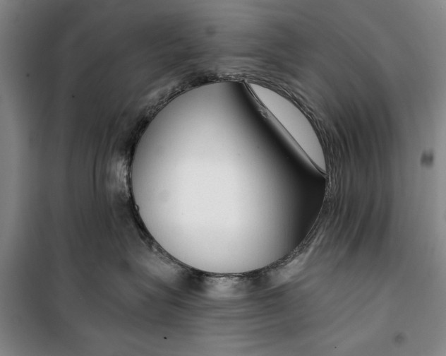 X0000099420575200805301410