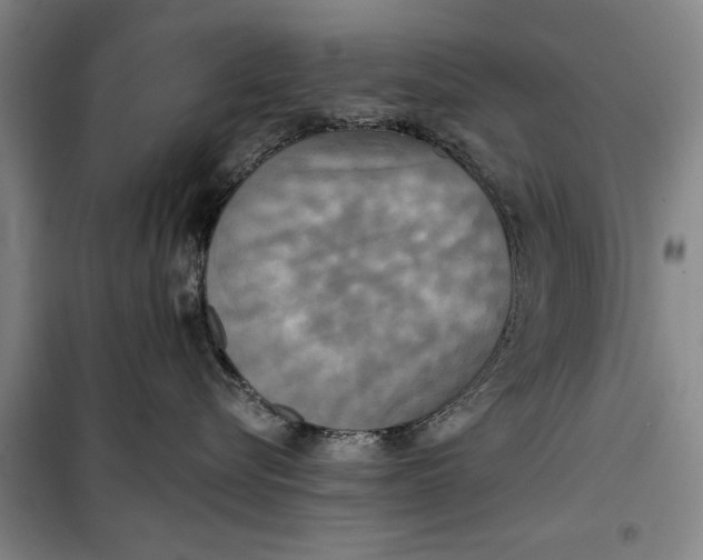 X0000099420576200805301410