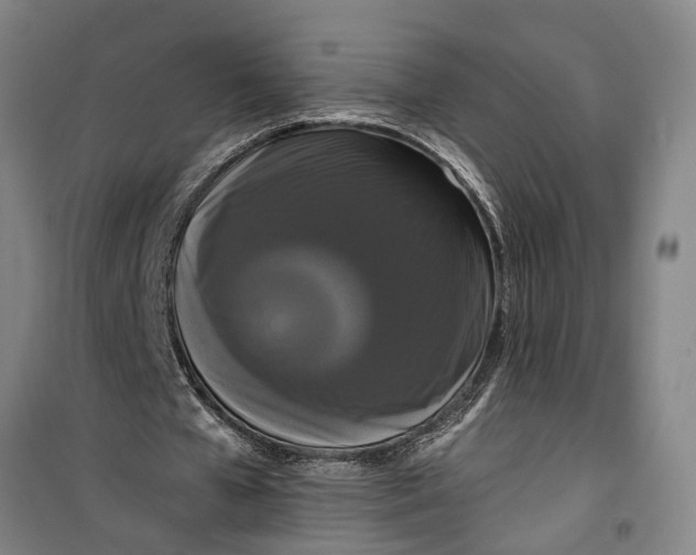 X0000099420577200805301409