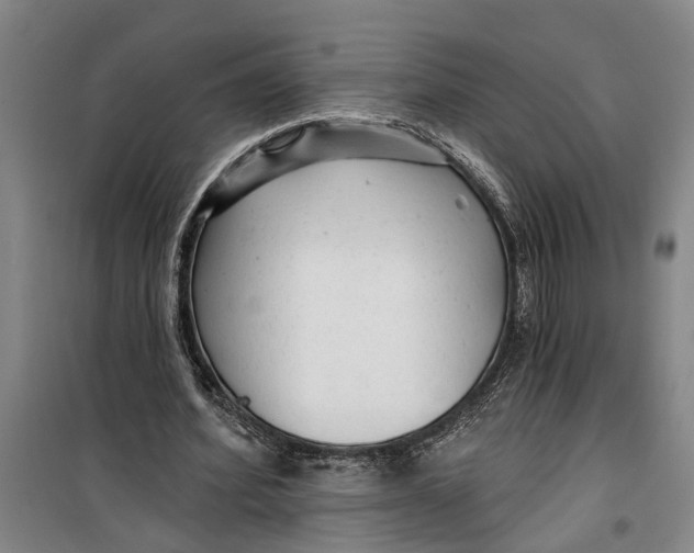 X0000099420580200805301409