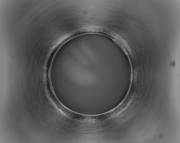 X0000099420581200805301409