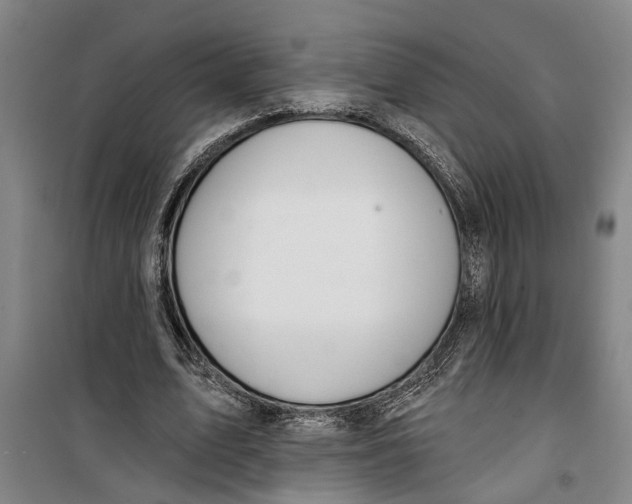 X0000099420583200805301409