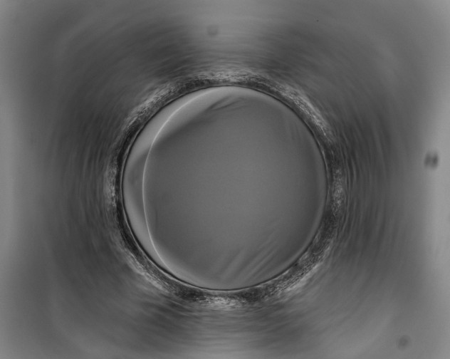 X0000099420585200805301409