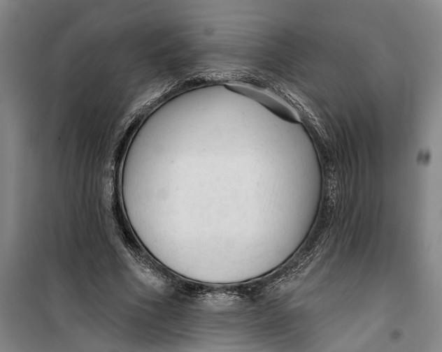 X0000099420586200805301409