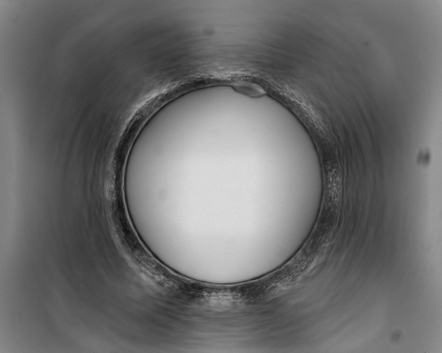 X0000099420587200805301409