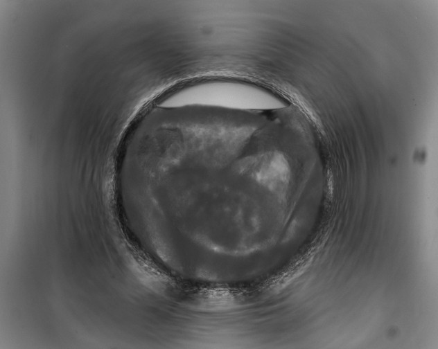 X0000099420588200805301409