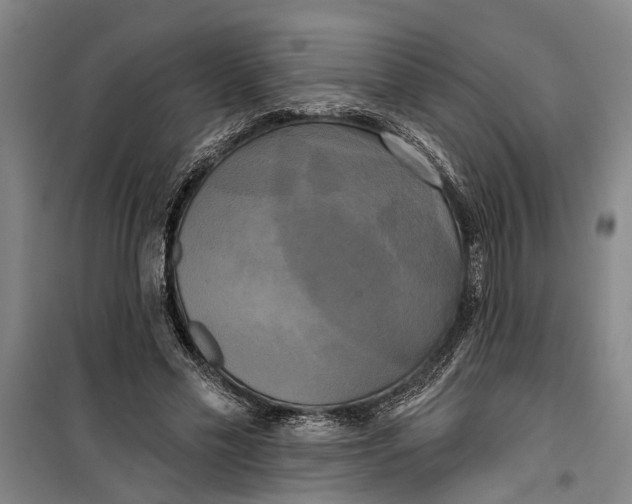 X0000099420589200805301409