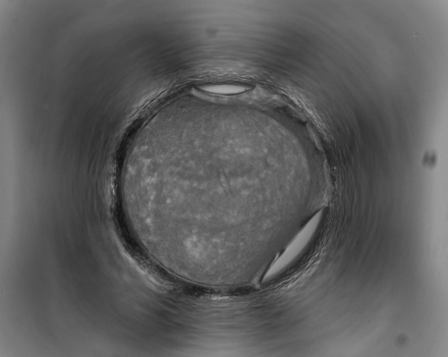 X0000099420590200805301409