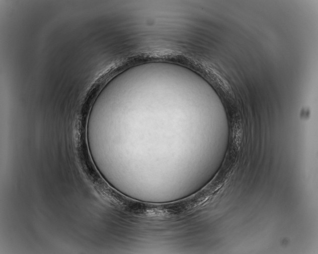 X0000099420591200805301409