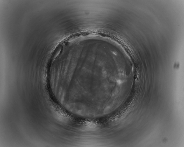 X0000099420592200805301409