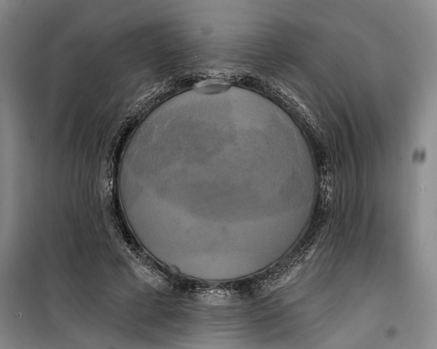 X0000099420593200805301409