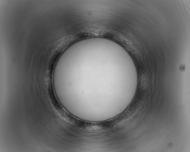 X0000099420594200805301409