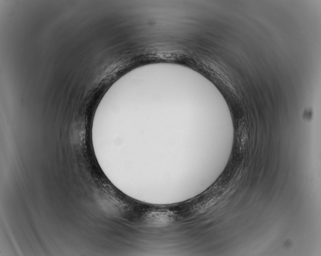 X0000099420595200805301409