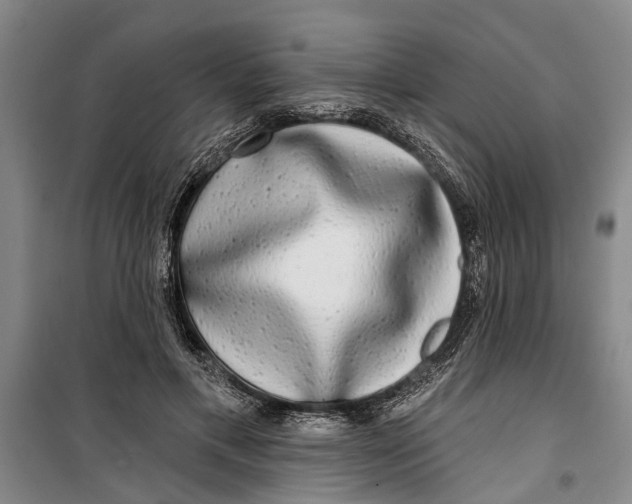 X0000099420597200805301409