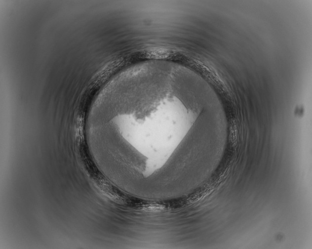 X0000099420598200805301409